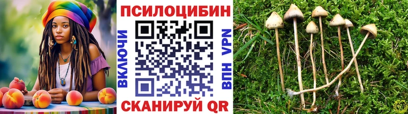 Галлюциногенные грибы Cubensis  наркошоп  Боготол 