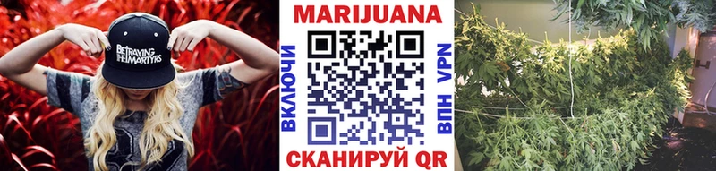 Конопля MAZAR  Боготол 